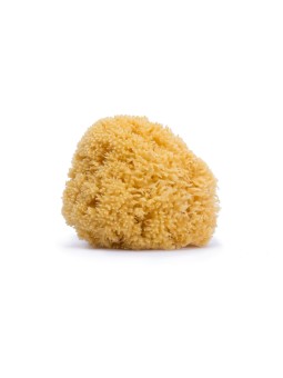 Suavinex Esponjas Naturales